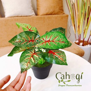 Cây Nhựa cây giả PVC- Cây Khoai Môn Đốm Xanh Gân Đỏ