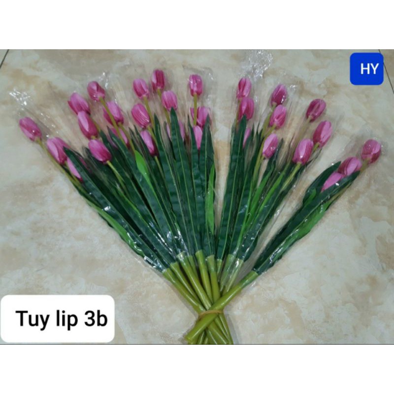 Hoa tulip cao cấp - 1 cành 3 bông loại đẹp