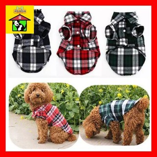 🍎 Quần Áo Chó Mèo Thú Cưng Bông Mắt Biếc Xuân New Style