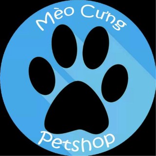 Mèo Cưng Petshop