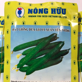 HẠT GIỐNG DƯA LEO XUÂN YẾN (Hạ Yến)(VO266)- Giống chất lượng cao