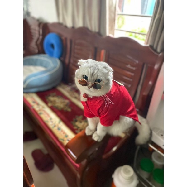 1-25kg áo dài Tết cho pets cưng, chó mèo vải gấm