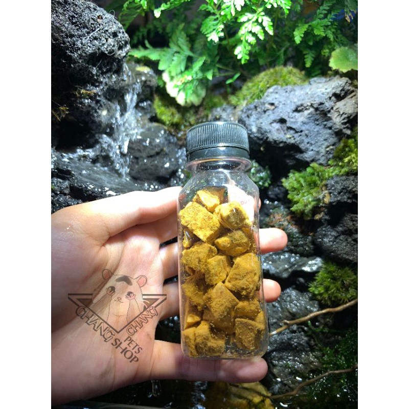 [gói 10g] vụn Cá hồi sấy dành cho hamster