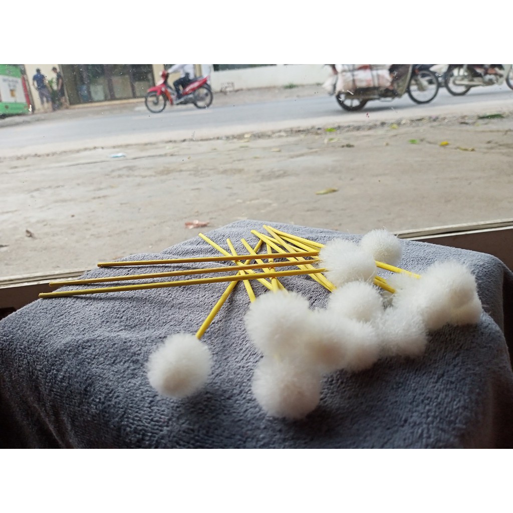 BÁN 5 CÂY Bông Ngoáy Tai - cây bông ráy tai- bông ngoáy tai