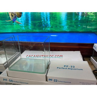 BỂ CÁ ĐỂ BÀN MẶT KÍNH ĐÚC LIỀN 22CM X 15CM X 17CM