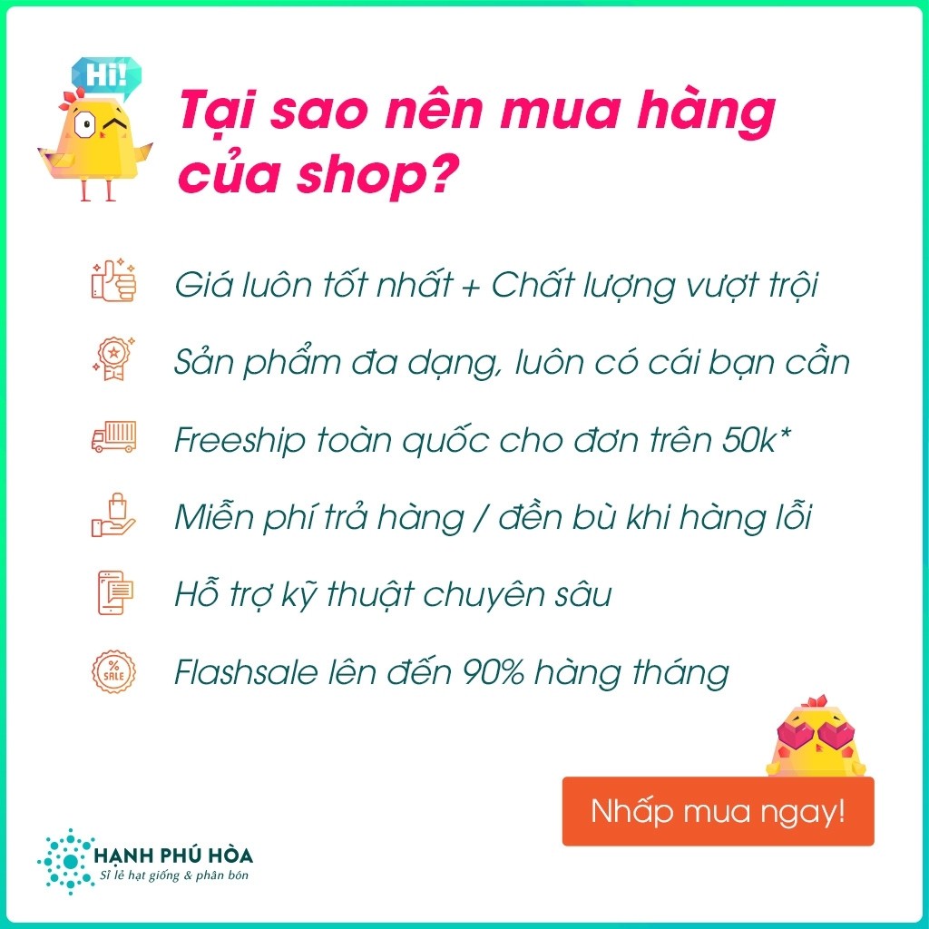 Bộ 10 Rọ Thủy Canh - Chuyên Dùng Trồng Rau Sạch Thủy Canh, Thuỷ Canh Tĩnh