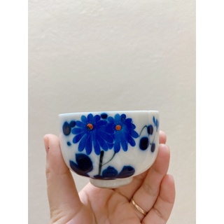 Chậu trồng sen đá xương rồng, cốc trồng sen đá xr, chậu mini
