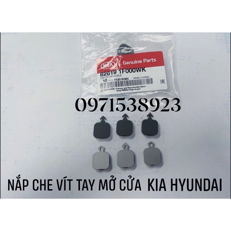 Nắp đậy bắt vít tay mở cửa chính hãng KIA và HUYNDAI 826191F000ƯK