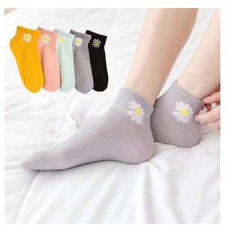 Combo 10 đôi tất Hoa cúc rất xinh