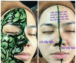 BỘT TẢO XOẮN SPIRULINA
