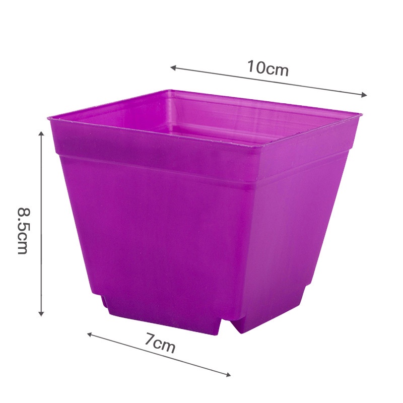 01 Chậu nhựa 10x10x7cm kèm đĩa lót dẻo trồng cây sen đá, xương rồng, ươm hạt giống