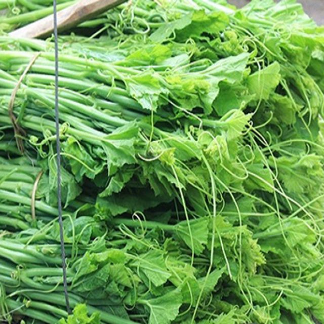 giống bí siêu ngọn