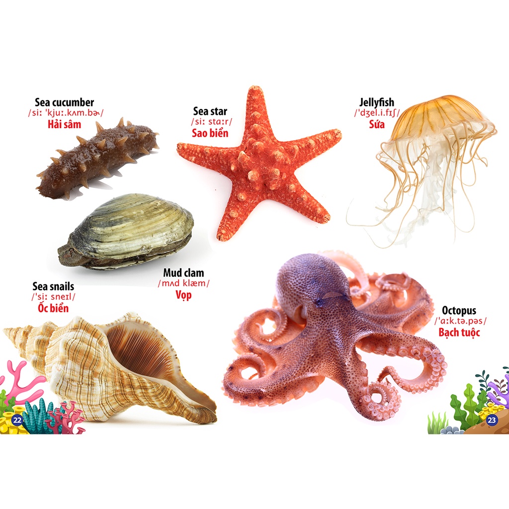 Sách Thư Viện Hình Ảnh Song Ngữ Đầu Tiên của bé - Động vật dưới nước
