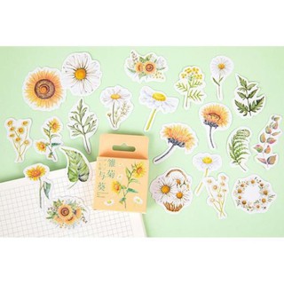 Bộ 46 sticker hoa cúc nhỏ xinh e78