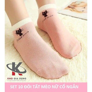 Combo 10 Đôi Tất Mèo Cổ Ngắn Nữ