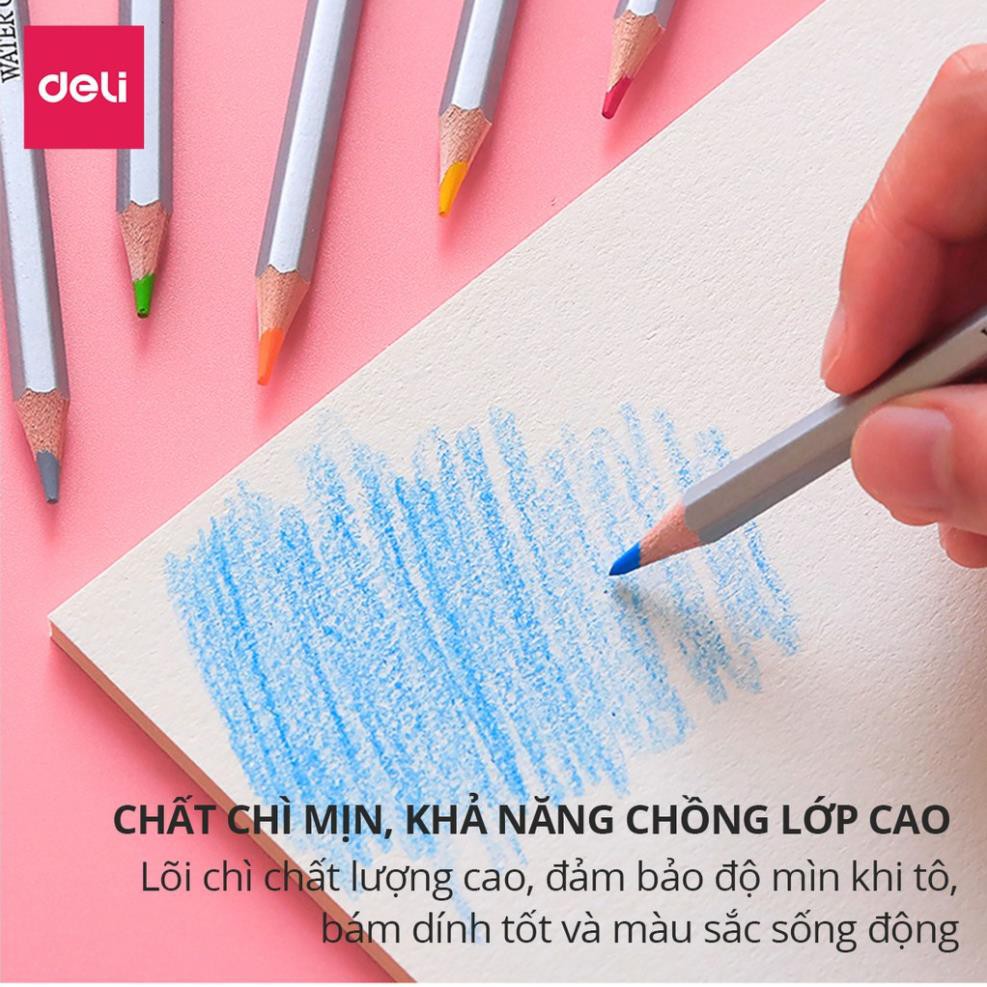 Bút chì màu nước cao cấp Deli - Có kèm cọ tán - Bộ 24/36/48 màu - 6521/6522/6523/6524