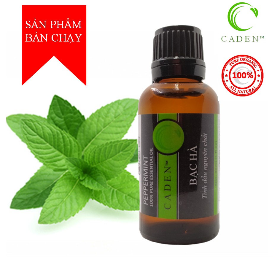 Tinh dầu thiên nhiên Laender, Lài, Quế, Tràm, Sả Chanh 10ML