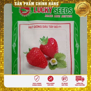 HẠT GIỐNG DÂU TÂY ĐỎ LUCKY SEEDS (100 hạt)