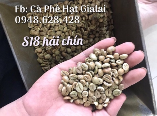 (Sale Hot) Cà phê rang xay nguyên chất - Công nghệ rang Hot Air tiên tiến | BigBuy360 - bigbuy360.vn