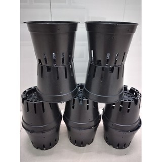 COMBO 10 Chậu nhựa trồng lan size 16
