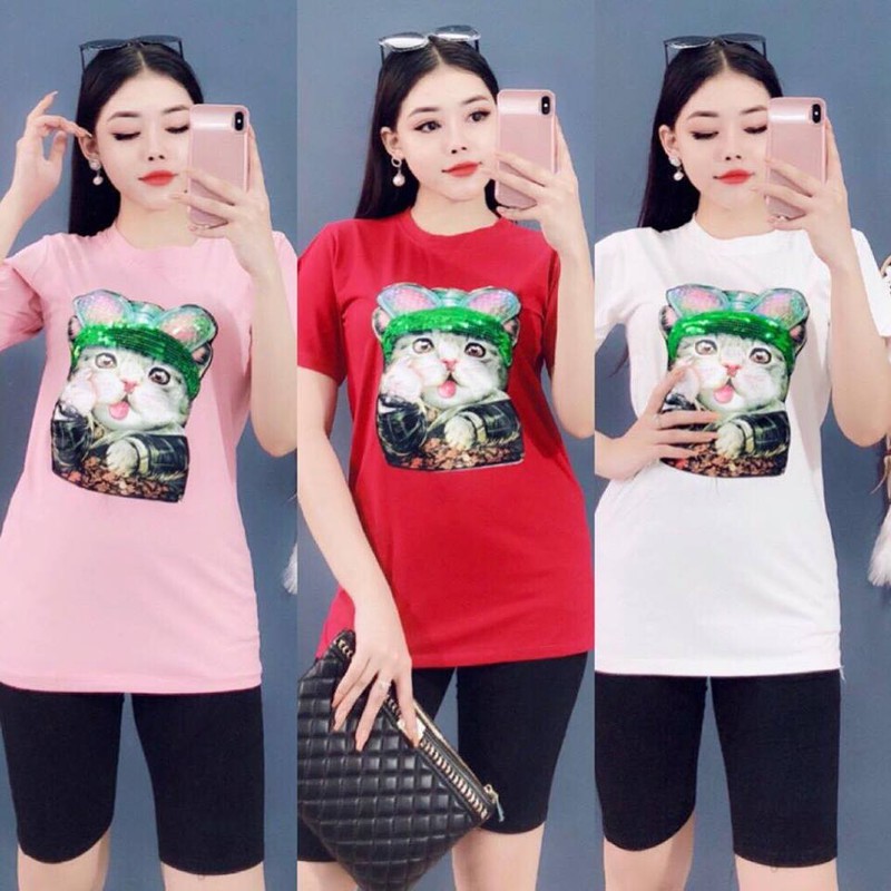 SÉT BỘ THỜI TRANG MÈO KIM SA -SB51