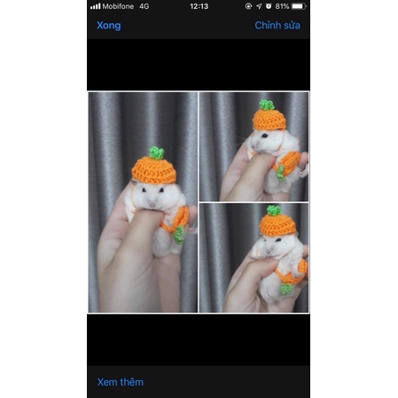 Sét mũ túi cho hamter