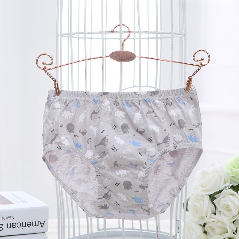 Hộp 5 quần lót bé trai Hàn Quốc 100% cotton mẫu Khủng Long Faddy Kids