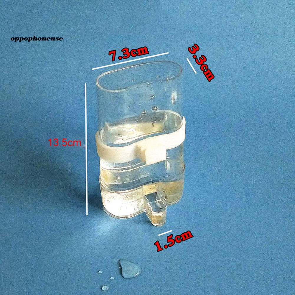 Dụng Cụ Đựng Nước Uống Tự Động Cho Chim Vẹt
