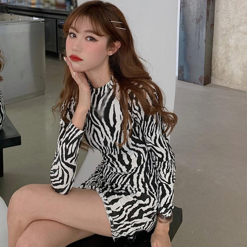 Đầm Dài Tay In Họa Tiết Ngựa Vằn Cá Tính Theo Phong Cách Hàn Quốc Cho Nữ | BigBuy360 - bigbuy360.vn