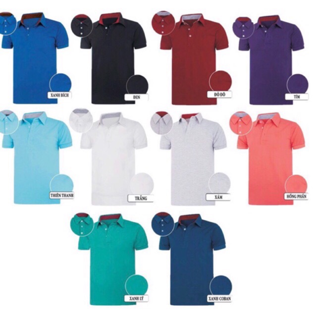 Áo thun cá sấu nam cổ sơ mi( ibox chọn màu size) | BigBuy360 - bigbuy360.vn