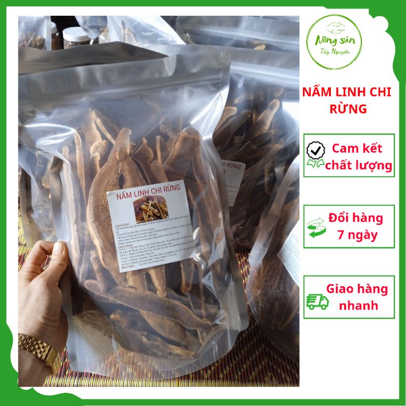 [Ảnh tự chụp] 500g Nấm linh chi thái lát/nấm linh chi rừng/nấm linh chi