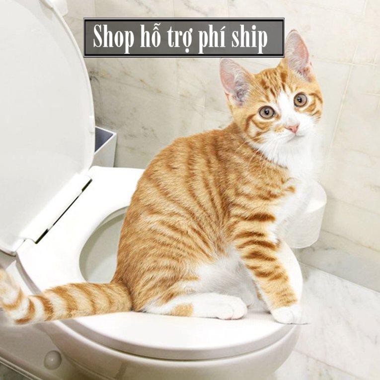 Hỗ trợ Ship-  -Bộ dạy mèo đi vệ sinh bồn cầu (LOẠI CÓ HỘP GIẤY) nắp bồn cầu cho mèo, huấn luyện mèo đi vệ sinh đúng chỗ