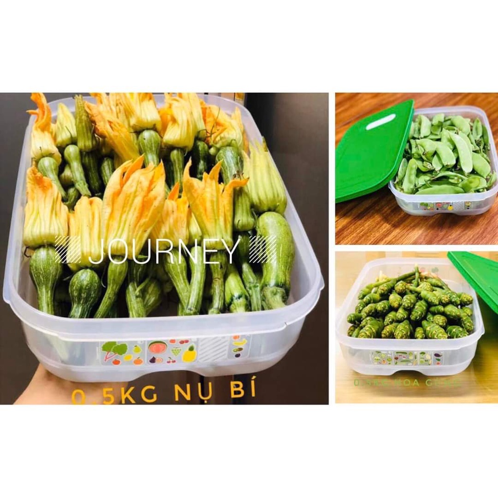 Bình Tập Uống Cho Bé Twinkle Sippy Cup Thiết Kế Nhỏ Gọn Dễ Cầm Chất Liệu Nhựa Nguyên Sinh An Toàn 250ml