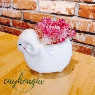 (Tặng xốp) Chậu Trồng Cây cảnh, sen đá, để bàn Hình Thú đáng yêu bằng Men Ngọc cao cấp (Không kèm cây)
