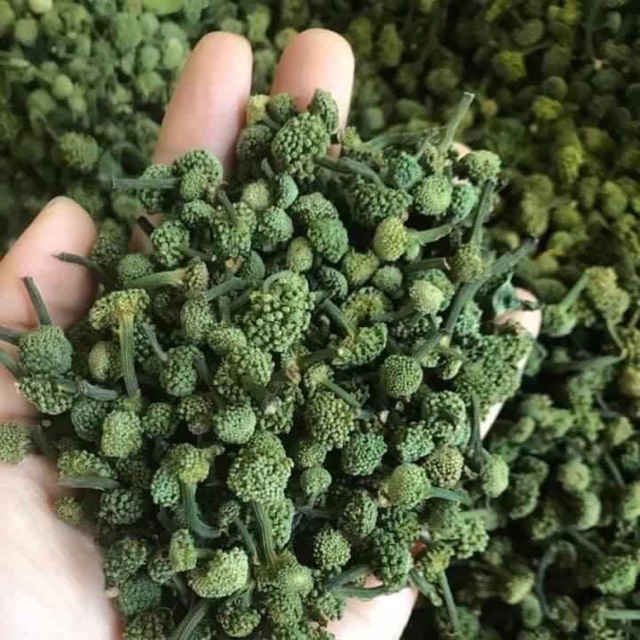 500g nụ hoa tam thất khô loại 1