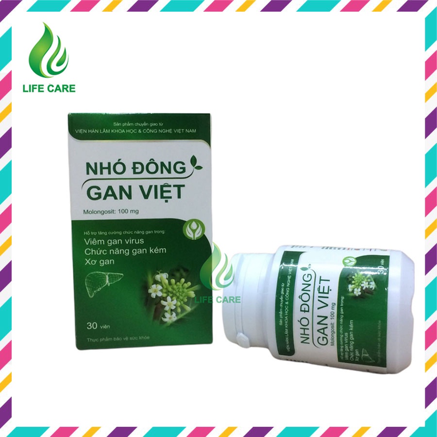 Nhó đông Gan Việt hỗ trợ tăng cường chức năng gan Viện Hàn Lâm Khoa Học Và Công Nghệ Việt Nam LIFECARE