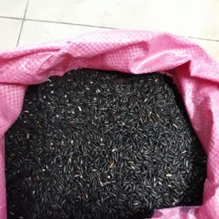 Nếp lứt cẩm