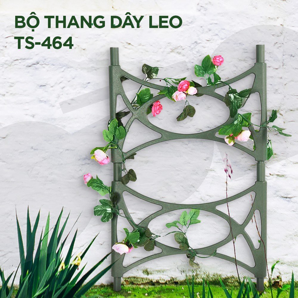 Bộ thang trồng cây dây leo - Đài Loan - TS464