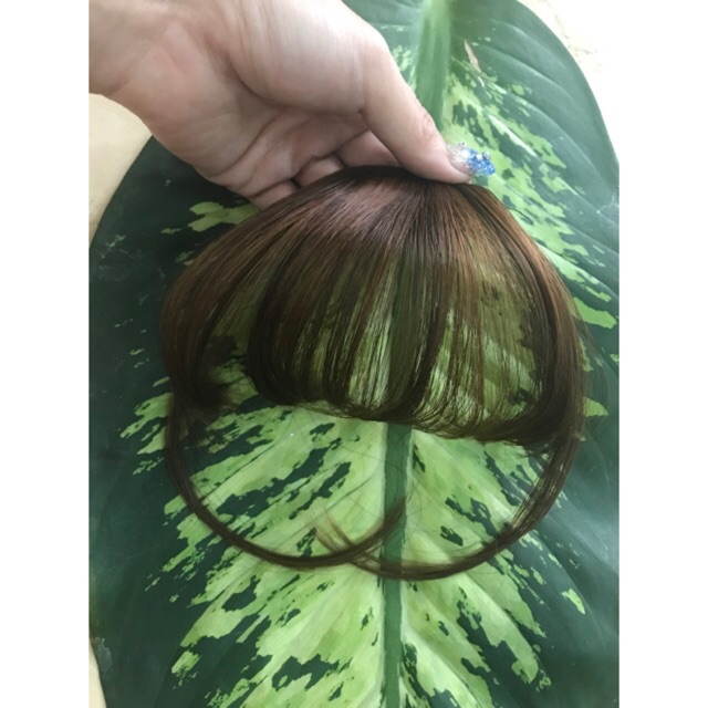 MÁI THƯA CÓ PASS CAO CẤP