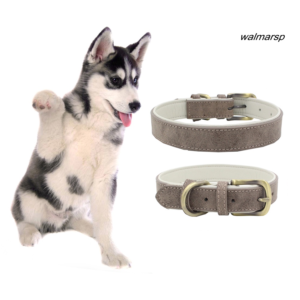 Vòng Cổ Mềm Có Khóa Điều Chỉnh Được An Toàn Cho Thú Cưng