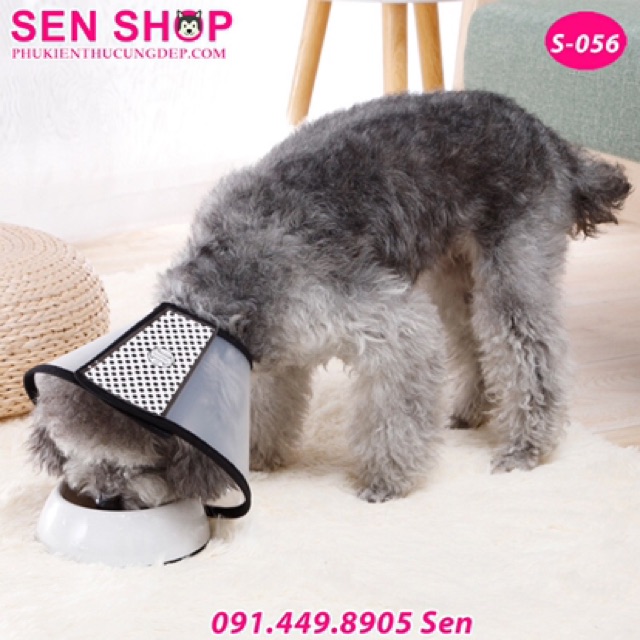 Vòng chống liếm cho chó mèo