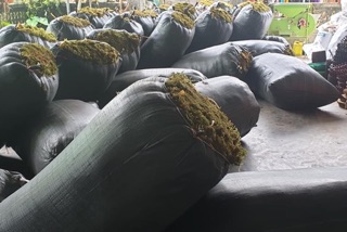 RÊU RỪNG 200g
