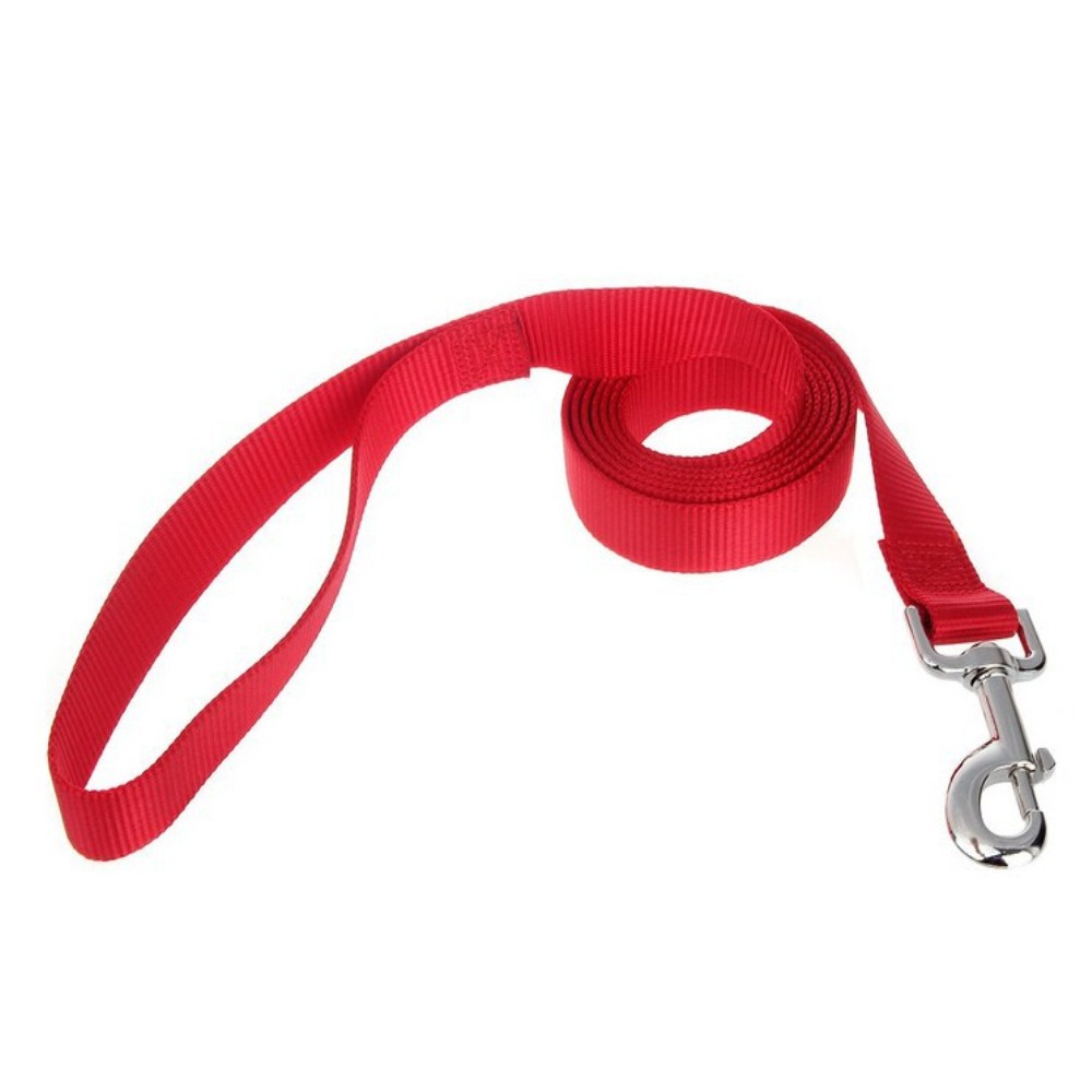 Dây Dắt Thú Cưng Đi Dạo Nhiều Màu Sắc Kích Thước 1.8m 4.5m 6m 10m