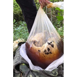 Mật ong rừng lai châu( mật ong khoái chai 1 lít)