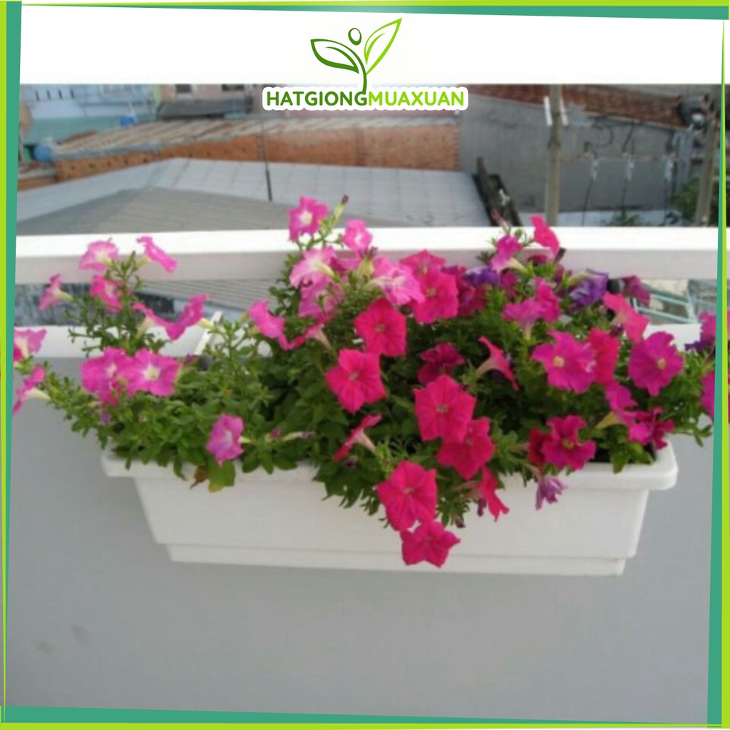 [HOT] Chậu trồng hoa hình chữ nhật kt 67cm x24cm x20cm
