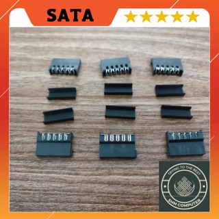 Đầu nhựa Sata cái cắm nguồn chuẩn sata