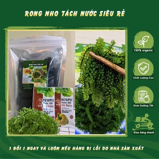 Rong nho tách nước gói 800gr, mua 3 tặng 3 gói sốt mè 15ml thơm ngon.
