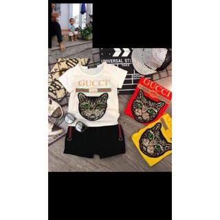 combo  Bộ guci mèo huy89