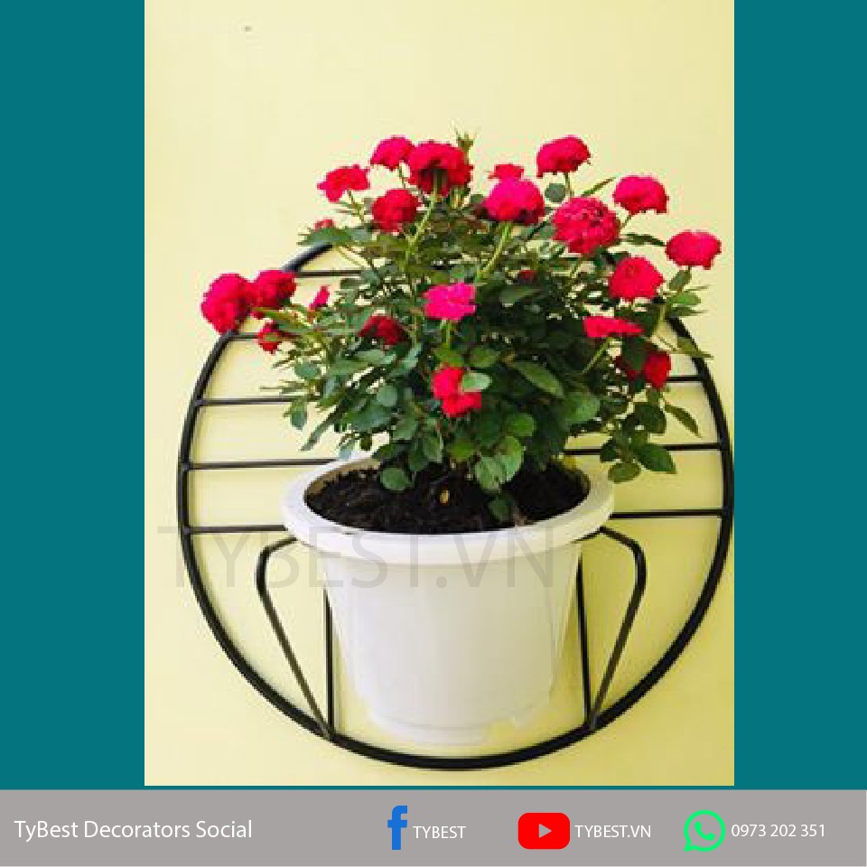 Kệ treo trang trí chậu cây xanh lên tường WB001