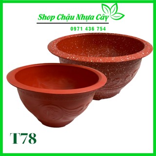 Chậu Nhựa Truyền Thống T78. Giả Đá, Trồng Cây